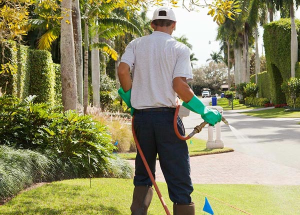About West Fulton NY Pest Control